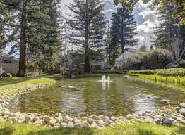 Water feature and tranquil setting